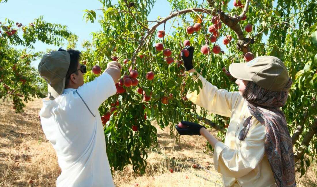Bursa Uludağ Üniversitesi (BAÜ) Ziraat