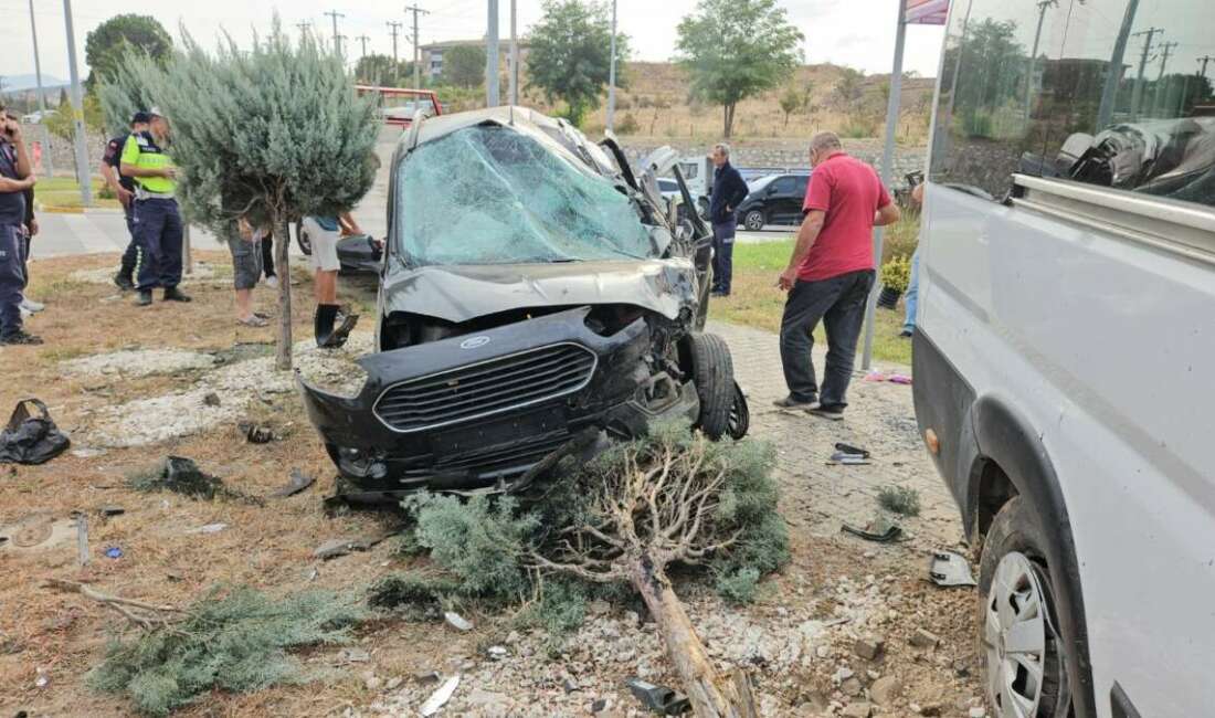 Balıkesir’in Sındırgı ilçesi çevre
