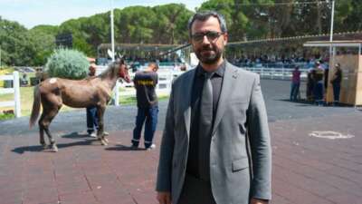  TİGEM tay satışı ve koşulardan bu yıl 500 milyon lira gelir bekliyor