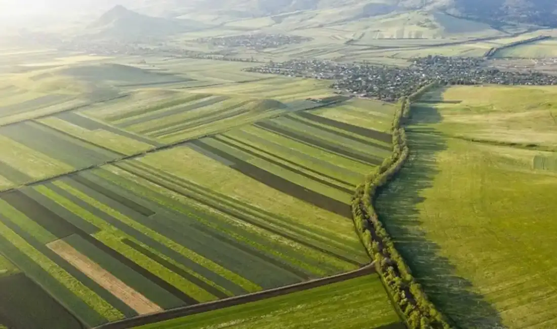 Toplu Konut İdaresi Başkanlığı