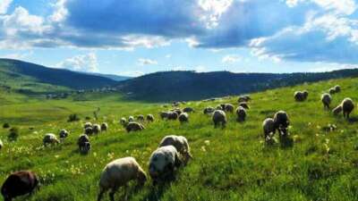 Tarımsal varlıkların geleceği 7554 sayılı kanunla tehlikede