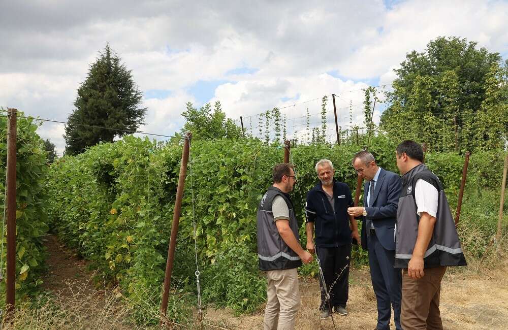 Bilecik İl Tarım ve