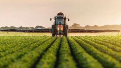 Verimli topraklar, verimli temsilciler