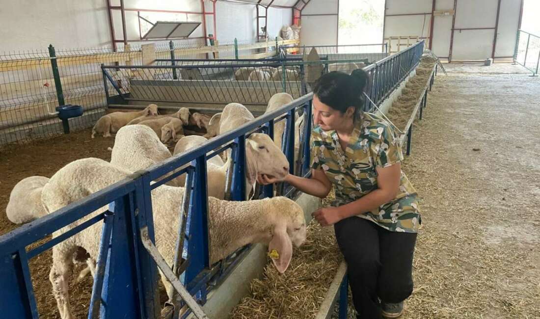 Selçuk Üniversitesi Veteriner Fakültesinden