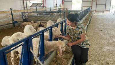 Veteriner genç kadın, kendi işletmesini kurdu