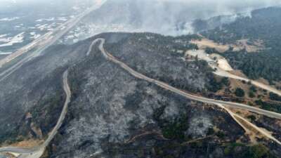 Yanan 3 bin hektar orman için 100 yıl gerekiyor