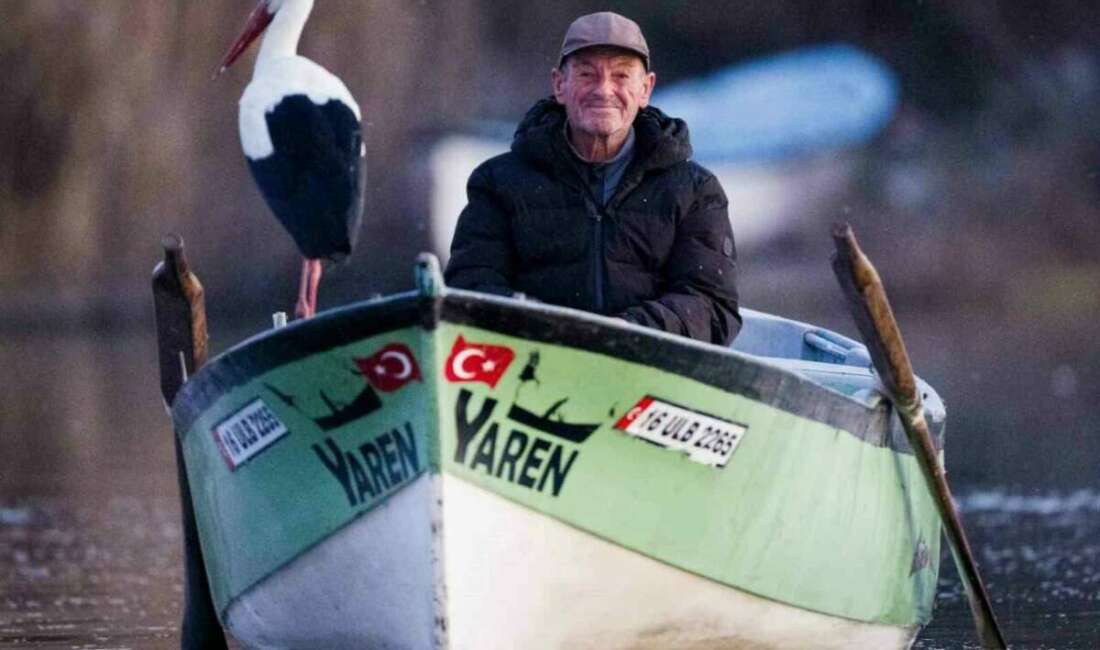 Yaren leylek bu yıl erken göçtü: Adem Yılmaz’dan duygulandıran veda Bursa'nın Karacabey ilçesinde Balıkıçı