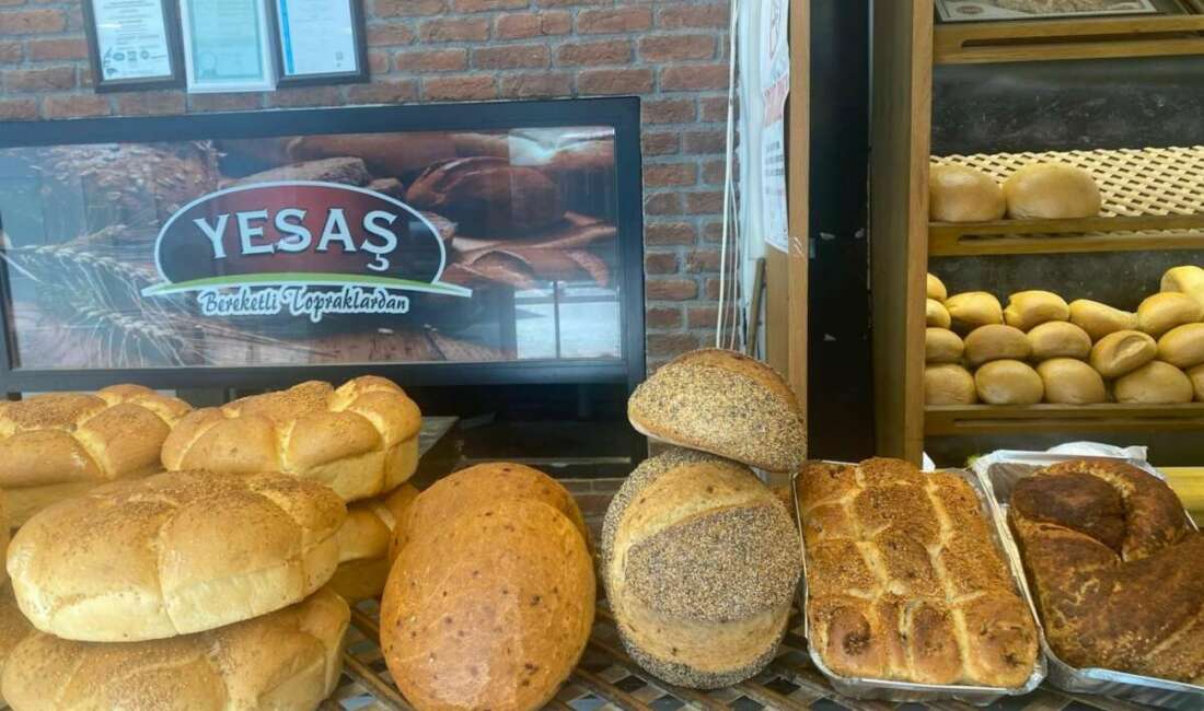 Osmanlının ilk başşehri Bursa’nın Yenişehir