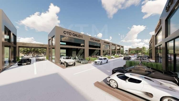 Bursa'nın Yenişehir ilçesinde 100