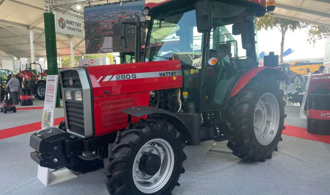 Şubat ve nisan aylarında