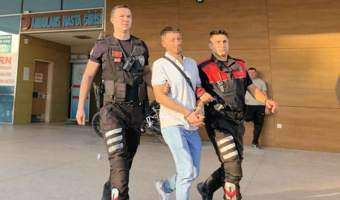 Bursa'nın İnegöl ilçesinde yunus