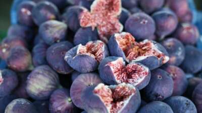 AB Tescilli Bursa İncirinde bu yıl 17 bin ton ihracat bekleniyor