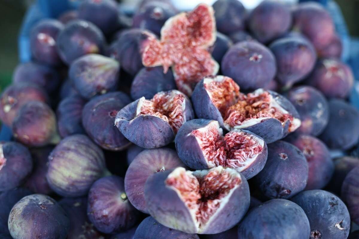 AB Tescilli Bursa İncirinde bu yıl 17 bin ton ihracat bekleniyor