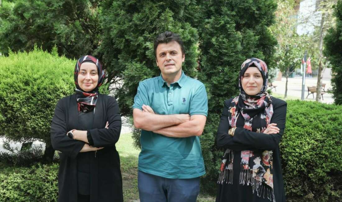 Bursa Teknik Üniversitesi (BTÜ)