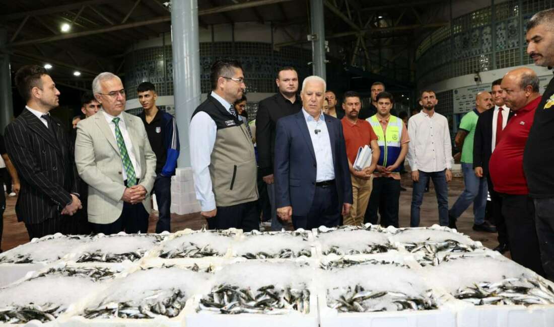 Av yasağının sona ermesiyle