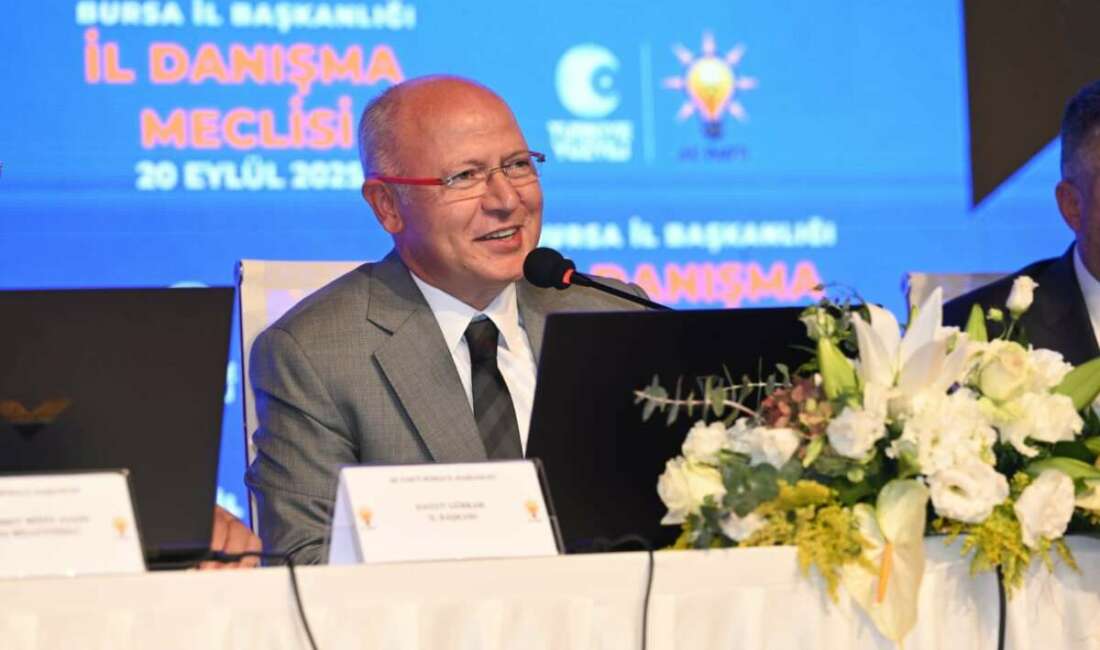 İl danışma meclislerinin teşkilat