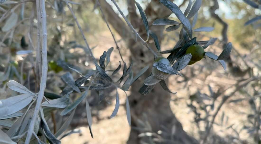 Balıkesir'in Bandırma ilçesine bağlı