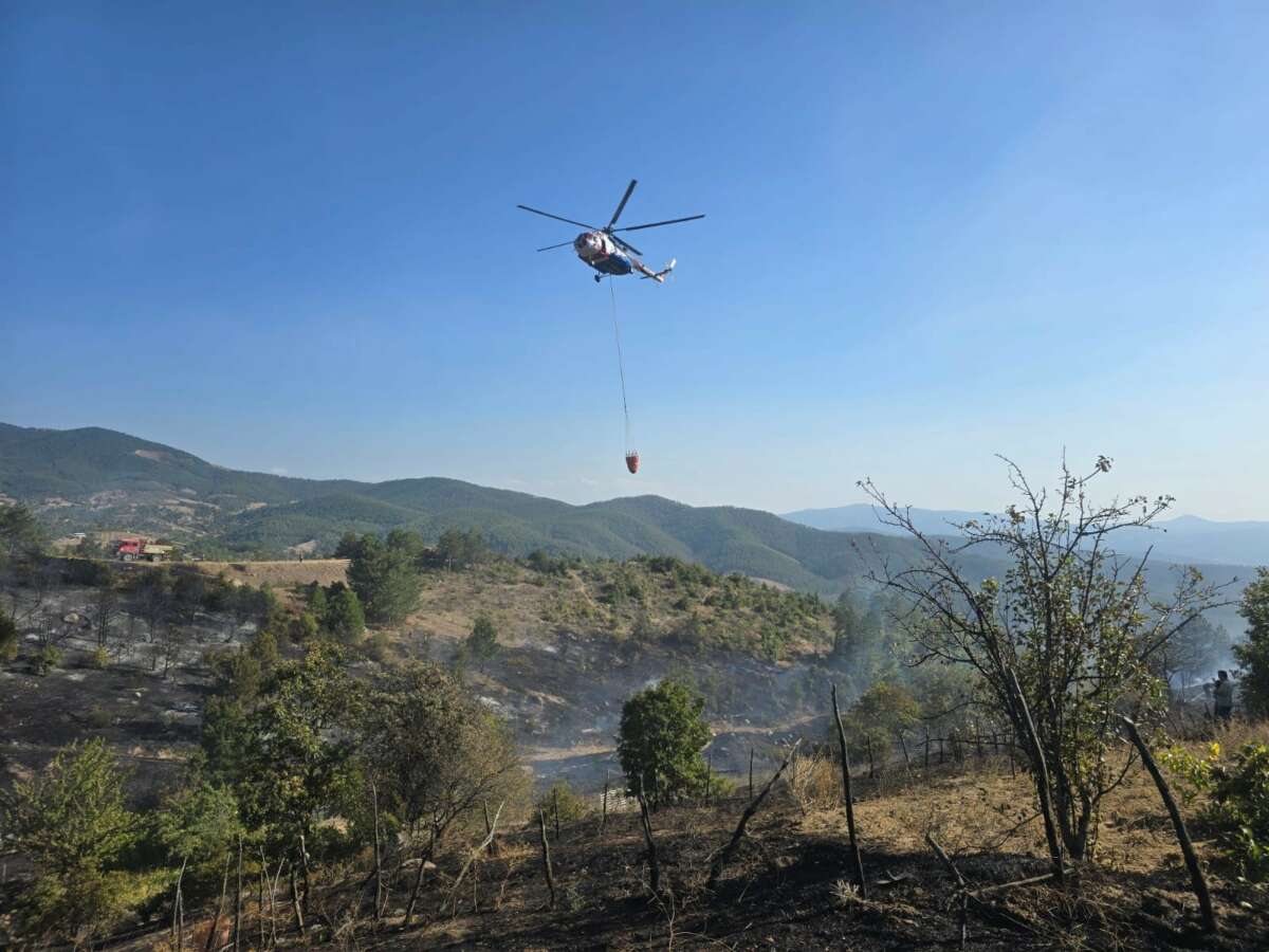Bursa Orhaneli’de orman yangını