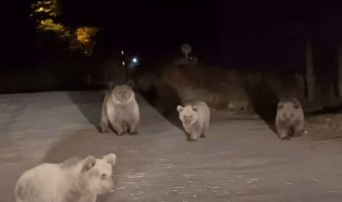 Bursa'nın doğal güzellikleriyle ünlü