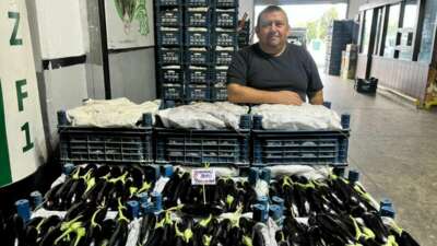 Bursa meyve-sebze halinde fiyatlar ne kadar? İşte tüm ürünlerin listesi