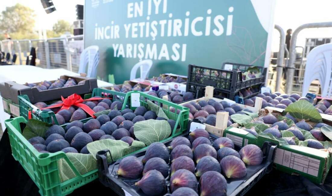 Nilüfer Belediyesi tarafından geleneksel