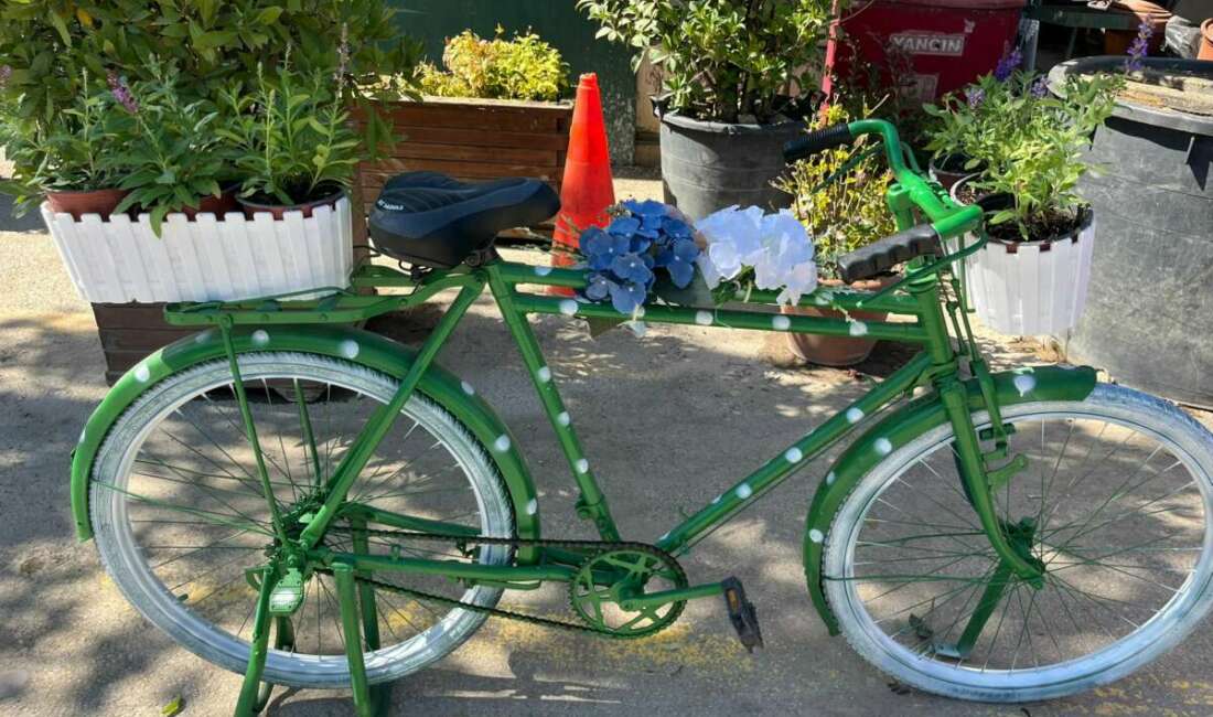 Marmara Denizi’nde ve sahillerinde