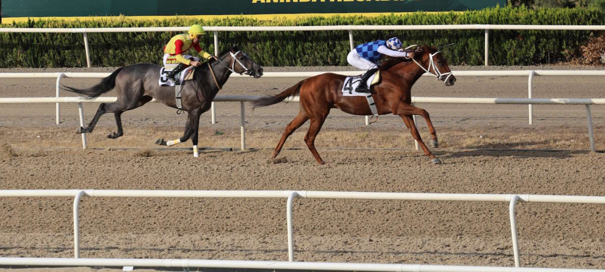 Bursa’da Büyükşehir Başkanlık koşusu