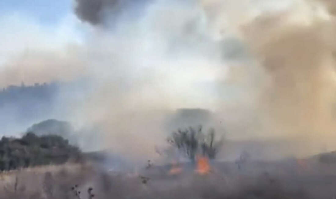 Bursa’nın Mudanya ilçesinde çıkan