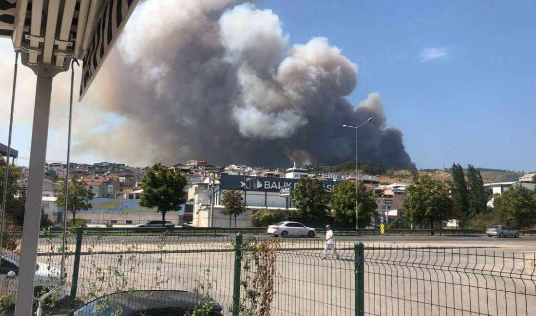 Radyo ve televizyon vericilerinin