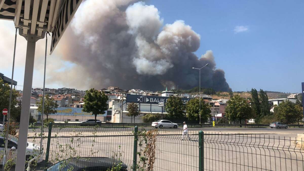 Bursa’da orman yangını