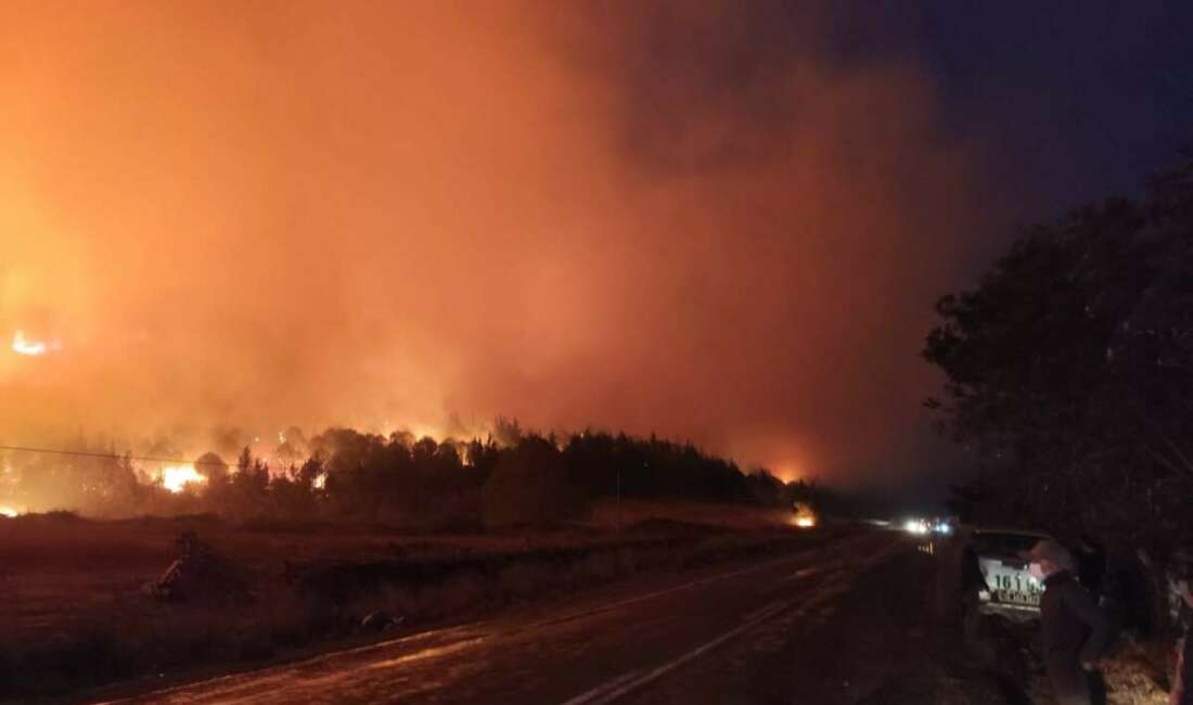 Bursa'nın Karacabey ilçesinde başlayan