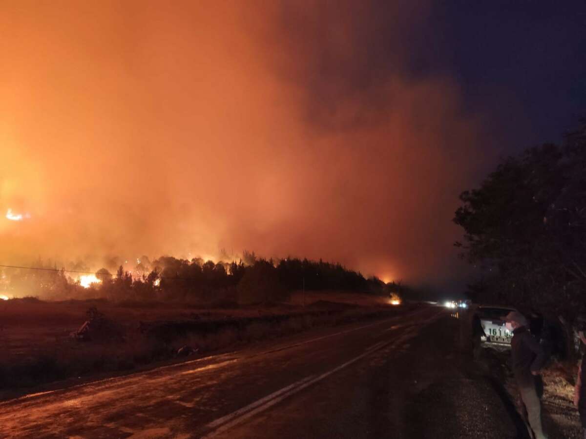 Bursa’da orman yangını…Rüzgarın etkisiyle büyüdü