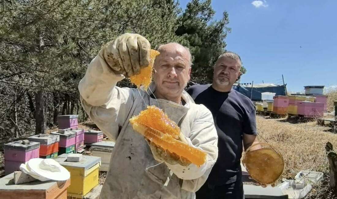 Bursa'nın İnegöl ilçesinde 50