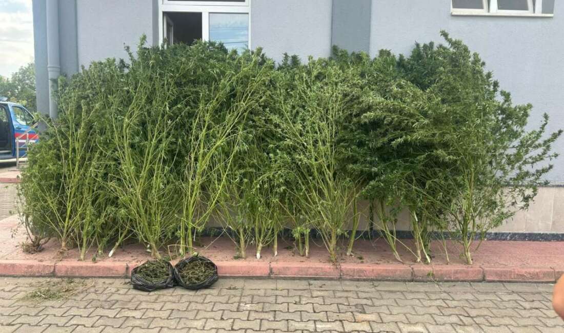 Bursa'nın İnegöl ilçesinde Jandarma