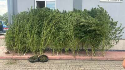  Bursa’da uyuşturucu operasyonu