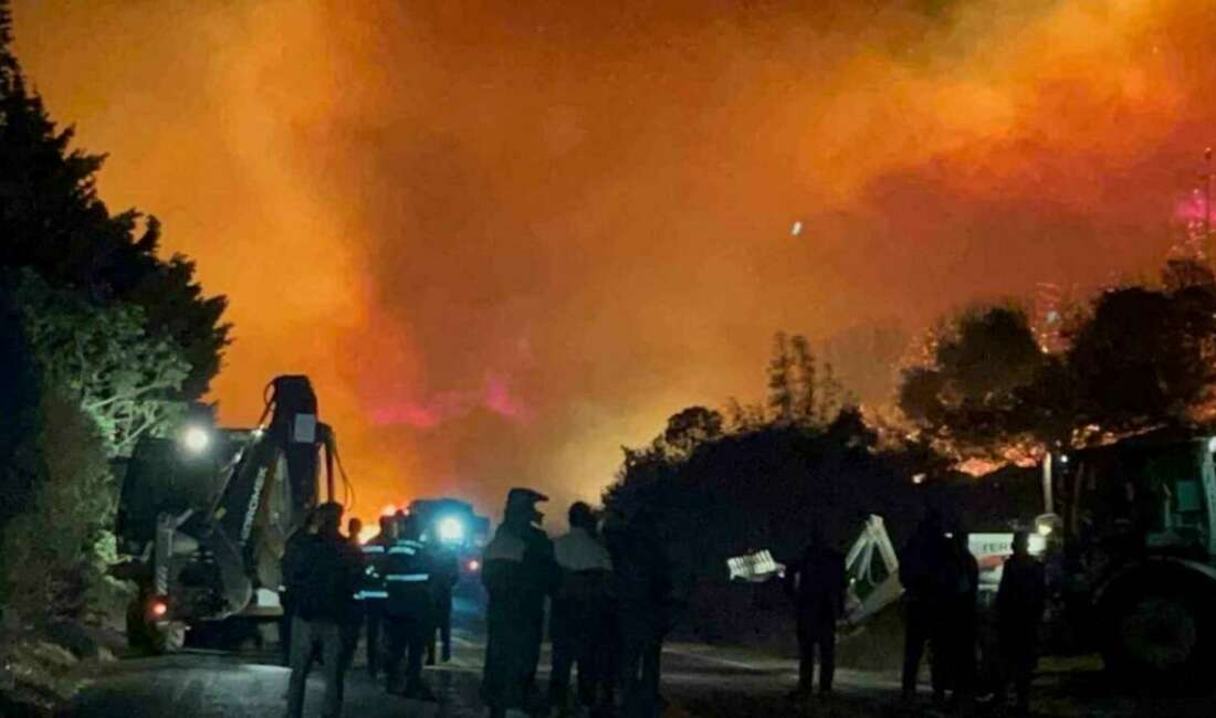 Bursa’nın Karacabey ilçesinde çıkan