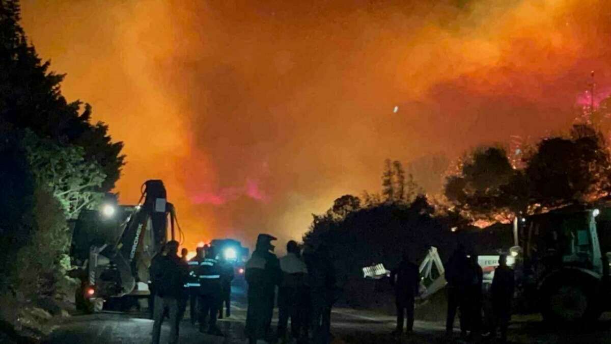 Bursa’daki orman yangını kontrol altına alındı