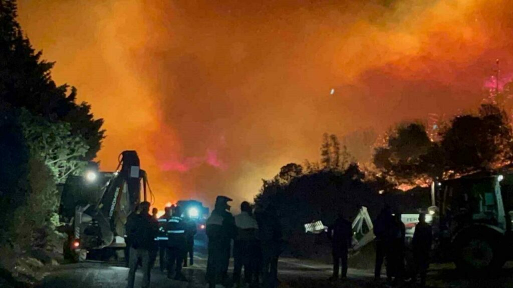 Bursa’daki orman yangını söndürüldü