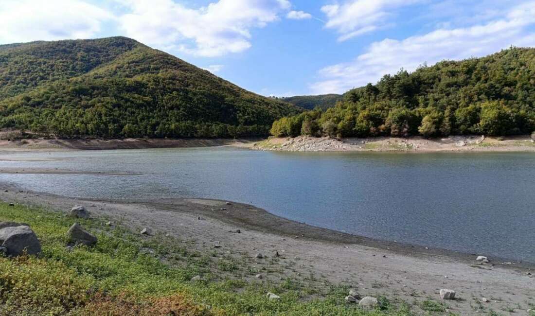 Bursa’nın Burcun Göleti’nde balık ölümleri Bursa'nın Yenişehir ilçesine bağlı