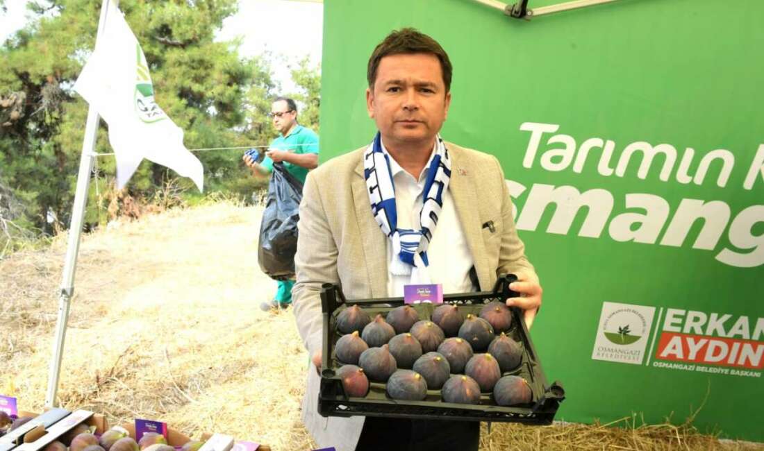 Osmangazi Belediyesi Bursa’nın coğrafi