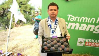 Bursa’nın dünyaca ünlü siyah incirleri Osmangazi’de yarıştı