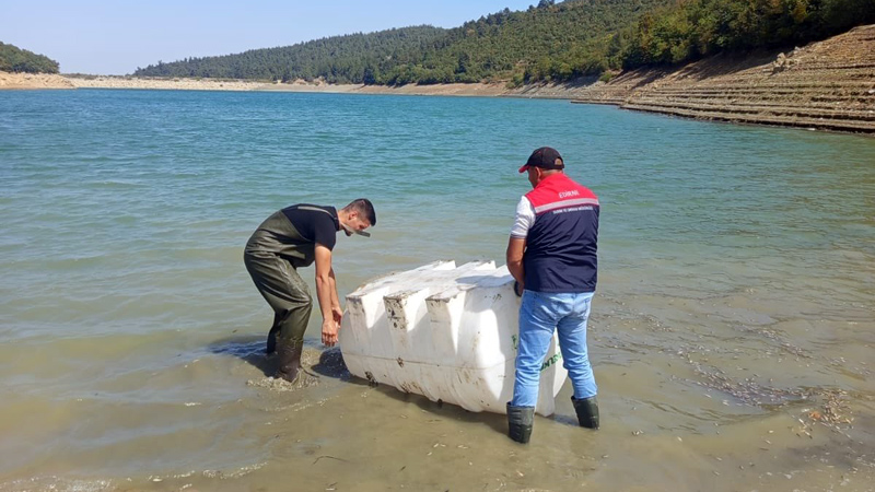 Bursa’nın sularına 2 Milyon balık daha