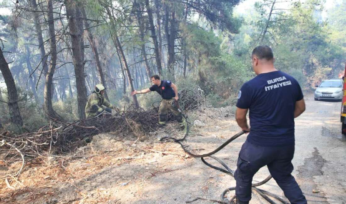 Büyükşehir’den Gündoğdu yangını seferberliği Bursa Büyükşehir Belediyesi ekipleri,