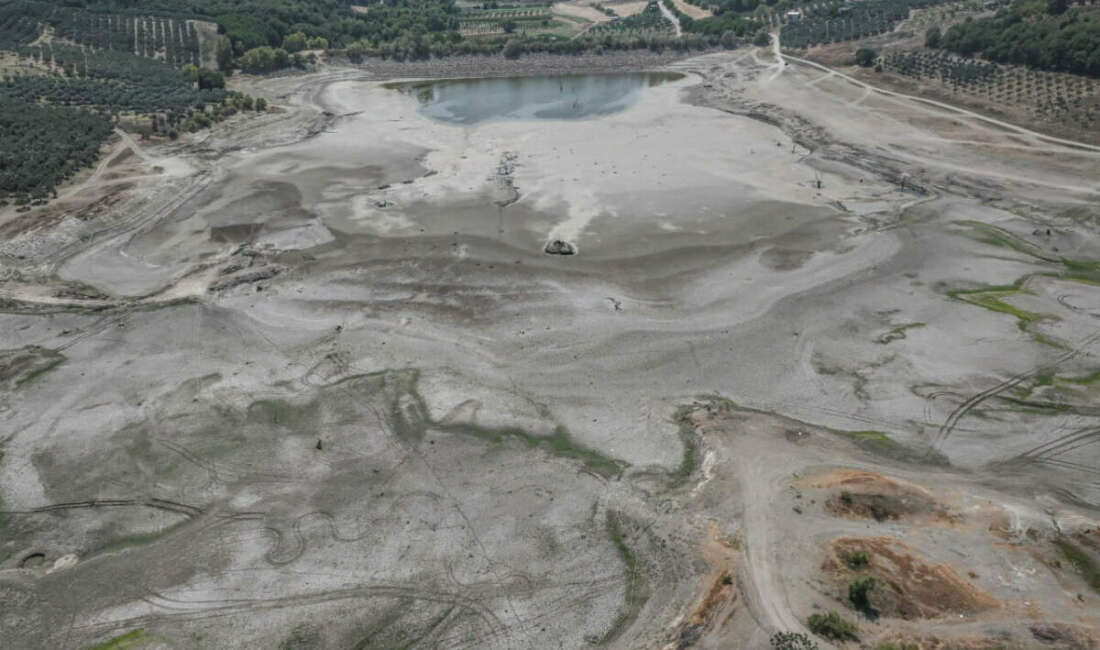 Bursa’nın Mudanya ilçesinde 42