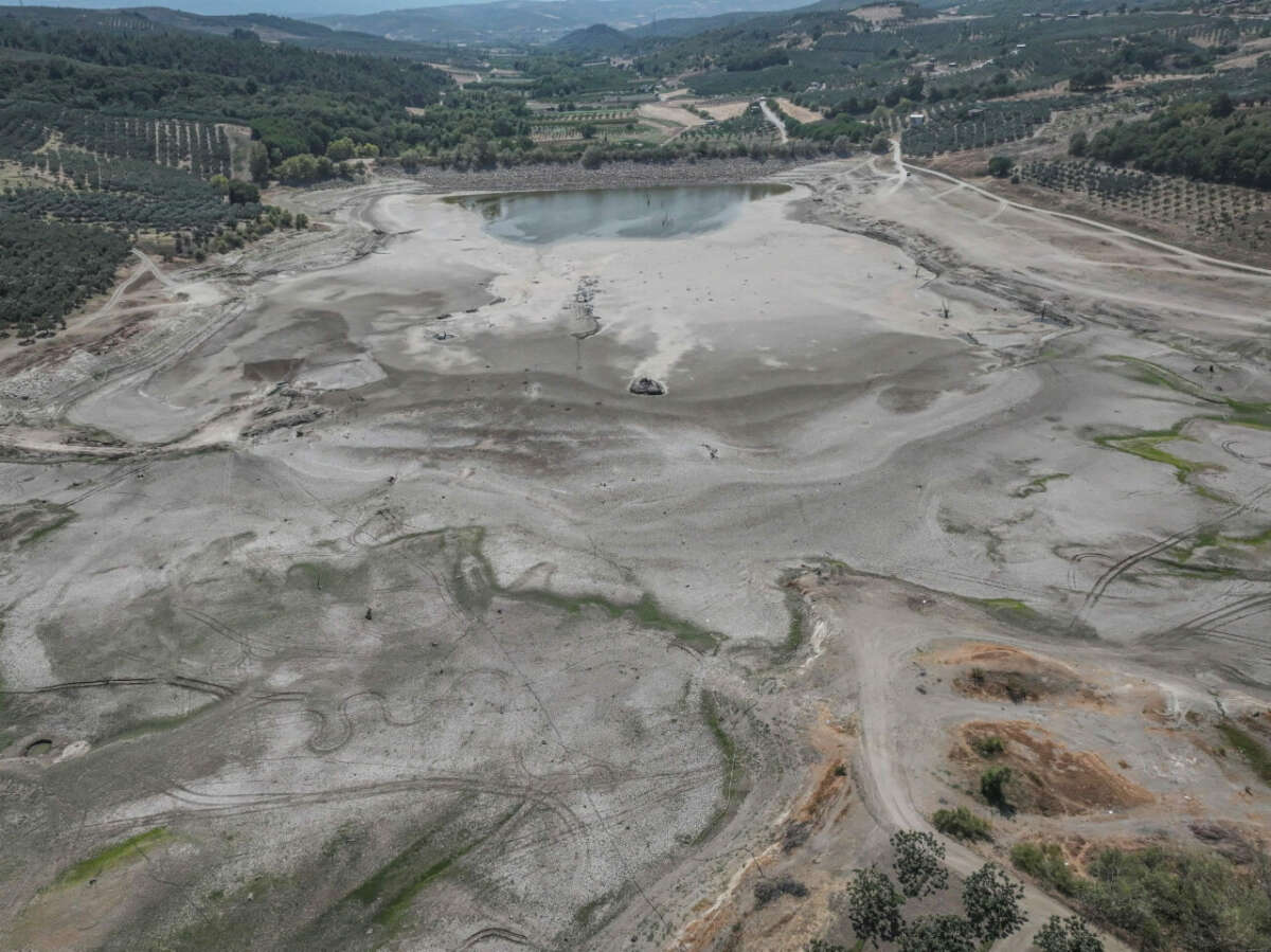 Bursa’da olağanüstü kuraklık: Çınarlı Göleti kuruma tehlikesiyle karşı karşıya