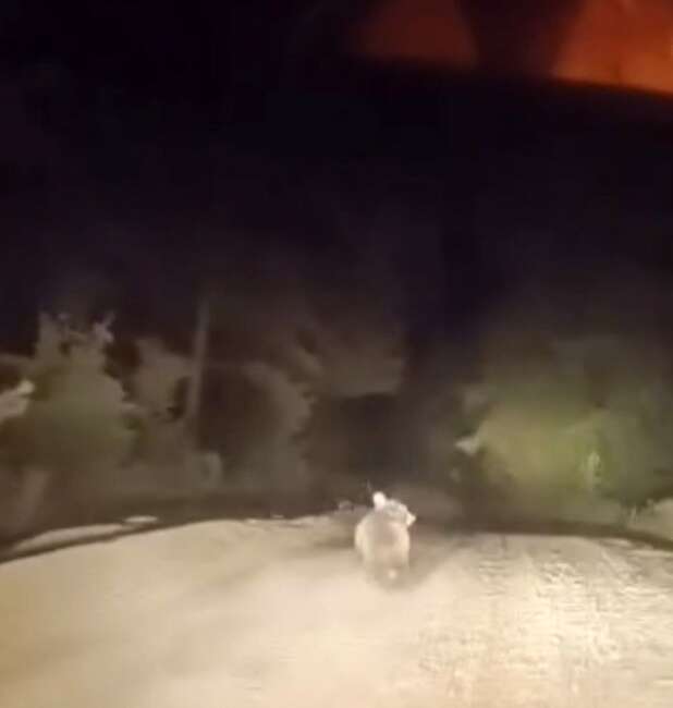 Bursa’nın Karacabey ilçesinde dağ