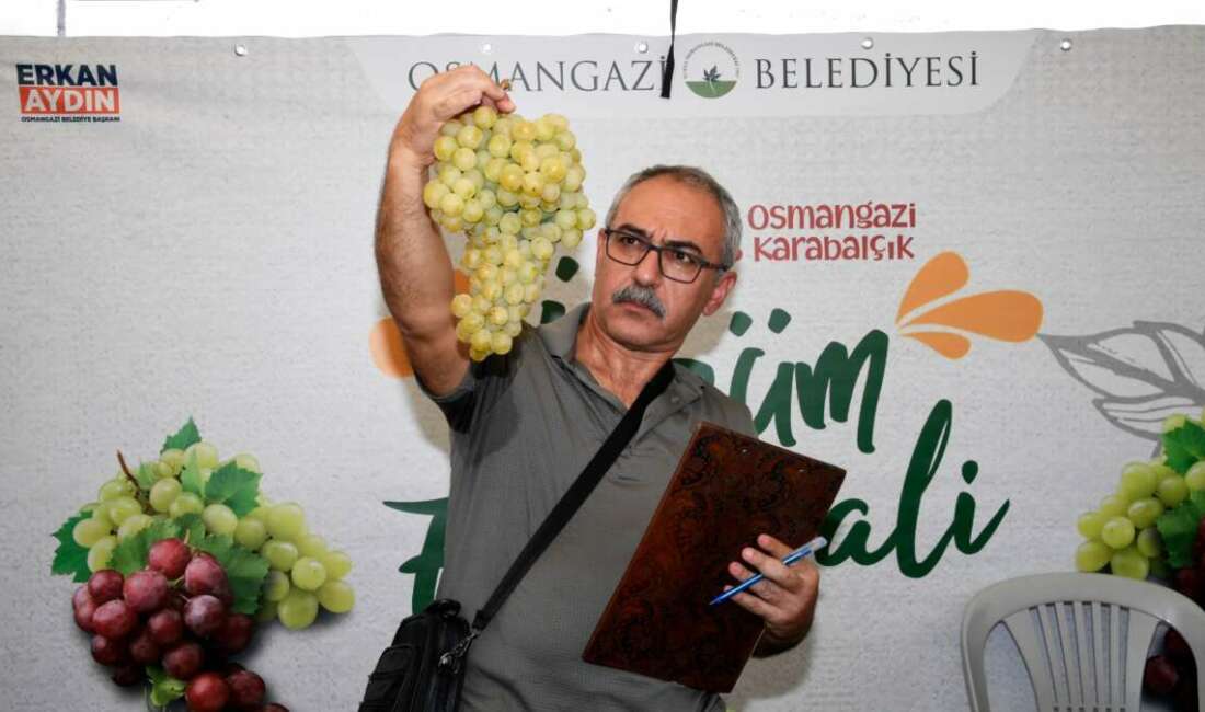 Osmangazi Belediyesi, ilçede yetişen