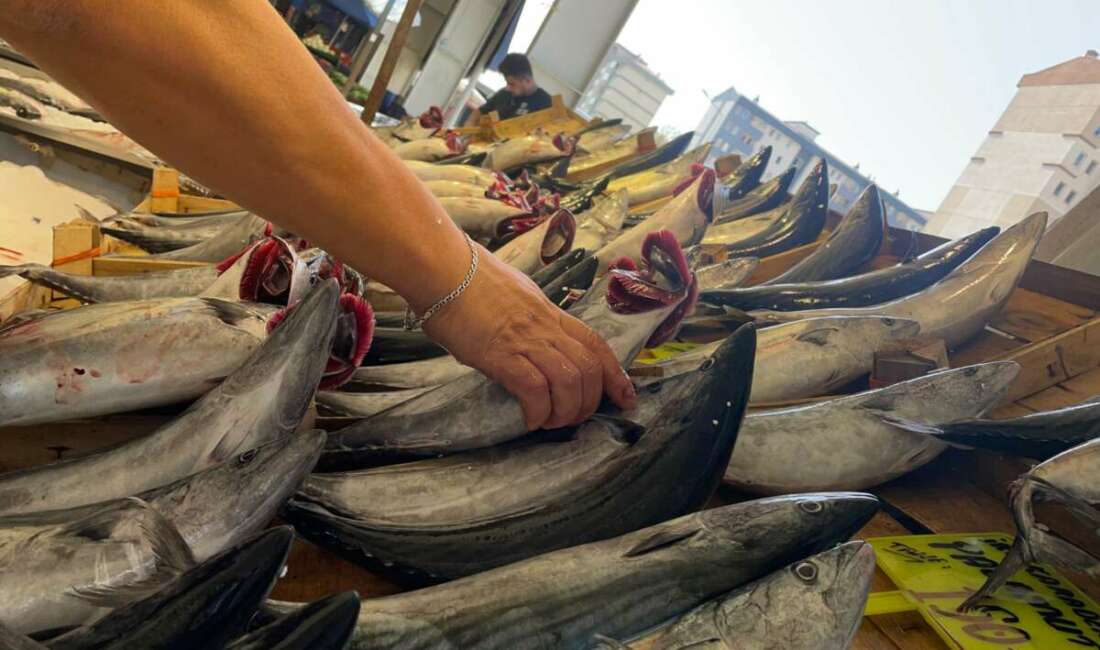Su Ürünleri Derneği Yönetim
