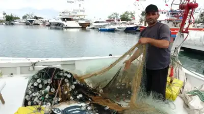 Hamsi sevenlere güzel haber