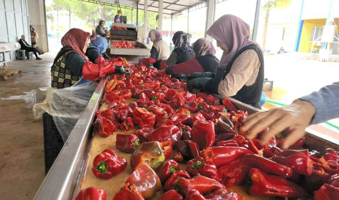 Bursa'nın İnegöl ilçesinin kırsal